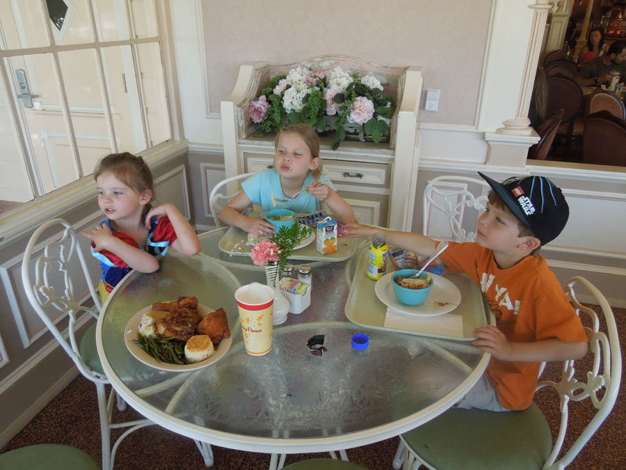 Disneyland Plaza Inn Picture